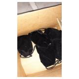 miscellaneous to photos for content