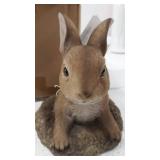 Summerfield Terrace CURIOUS BUNNY GARDEN DECOR