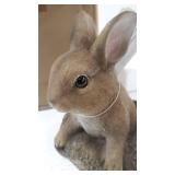 Summerfield Terrace CURIOUS BUNNY GARDEN DECOR