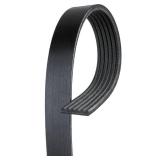 Serpentine Belt
