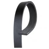 Serpentine Belt