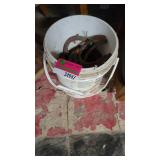 Small Bucket of Horse Shoes