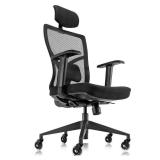 Ergonomic Mesh Office Chair