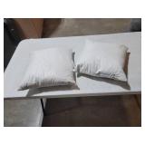 18x18 Accent Pillows 2 White Duck Feather