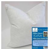 24x24 in White Goose Down Pillows