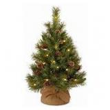 National Tree Company 3