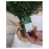 National Tree Company 3