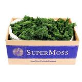 Super Moss (21710 Reindeer Moss Preserved, Forest Green, 3lbs