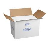 Polar Tech 266C Thermo Chill Insulated Carton with Foam Shipper, Large, 19" Length x 12" Width x 16" Depth