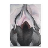 Black Iris by Georgia O