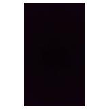 Diono Radian 3R All-in-One Convertible Car Seat and Booster