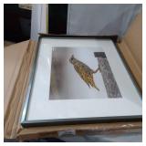 FRAMETORY 16X20 METAL PICTURE FRAME