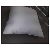 Acanva Pillow, Size: 20" x 20"