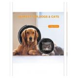 focuspet recovery collar XL