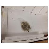 Adjustable Kitchen Stool Helper for Toddlers with Black and White Activity Board,Wooden Toddler Learning Standing Stool Tower for Kitchen Counter- Retsil $99