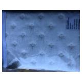 Ivory Rumi velvet sham set