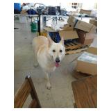 old wooden student desk