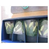 Set of 7 tumblers and 1 green decorative glass