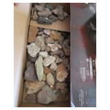 Box of miscellaneous rocks and shells