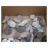 Box of miscellaneous rocks and shells