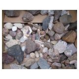 Box of miscellaneous rocks and shells