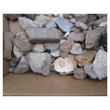 Box of miscellaneous rocks and shells