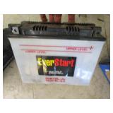 EverStart battery