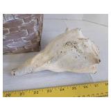 Wicker basket w/various sea shells