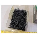 1" panel nails & constitution nails