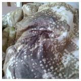 COMFORTER SET W/ 4 THROW PILLOWS, SIZE KING