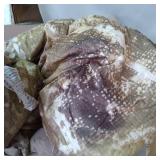 COMFORTER SET W/ 4 THROW PILLOWS, SIZE KING