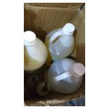 Terra Pure Gallon & Dispenser Set | 1-shoppe All-in-kit | Shampoo Conditioner...