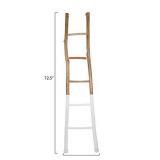 Creative Co-Op Dipped Decorative Wood Ladder, White