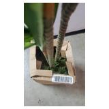 Nearly Natural 43in. Dracaena Silk (Real Touch) Artificial Plant, Green