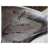 Safavieh 9"x12" Area Rug, Gray/Gold