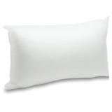 Foamily Pillow Insert