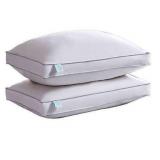 Martha Stewart White/Down Two-Pack, Standard/Queen Pillows