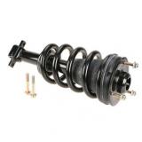 Suspension Strut and Coil Spring Assembly