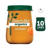 (10) Beech-Nut Organics Stage 1, Pumpkin Baby Food, 4 oz Jar