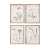 Vintage Reproduction Botanical Print Wood Framed Wall Art (Set of 4 Styles) - Beige- Retail:$276.49