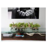 Cymbidium Orchids and Driftwood Centerpiece in Glass Planter - 48"L x 6"W x 8"H - Green -Retail $399.99