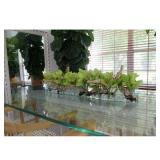 Cymbidium Orchids and Driftwood Centerpiece in Glass Planter - 48"L x 6"W x 8"H - Green -Retail $399.99