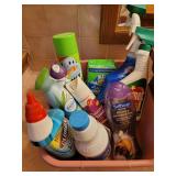 Bathroom Cleaning Supplies and Stepstool