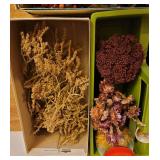 Dried Flowers