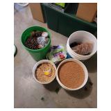 Pinecones and Birdseed