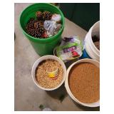 Pinecones and Birdseed