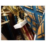 Darts and Hockey Trophies