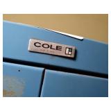 Blue Cole Small Parts Metal File Cabinet