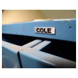 Blue Cole Metal 10 Drawer File Cabinet