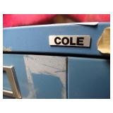 Blue Cole 10 Drawer Metal File Cabinet